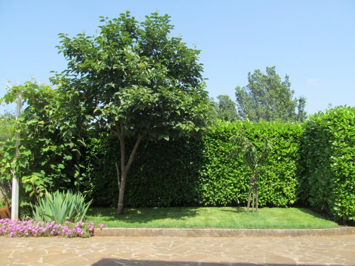 Apartments Zvezdica*** With Garden Zambratija  Zewnętrze zdjęcie