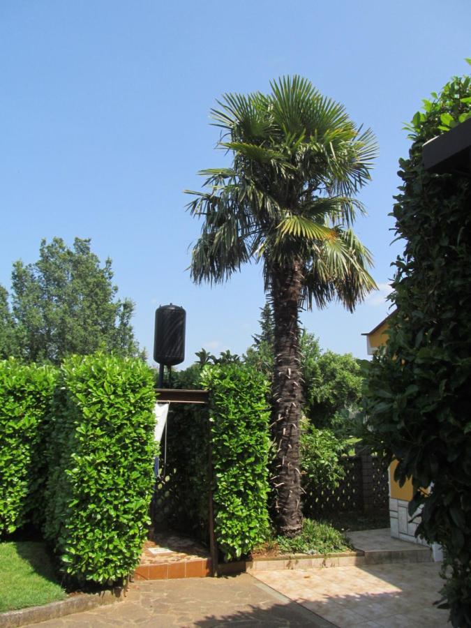 Apartments Zvezdica*** With Garden Zambratija  Zewnętrze zdjęcie