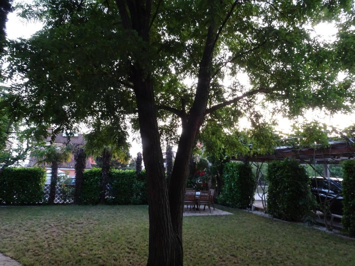 Apartments Zvezdica*** With Garden Zambratija  Zewnętrze zdjęcie